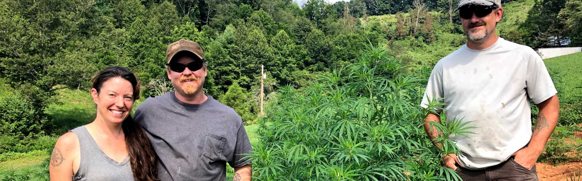 In Madison County, hemp is here to stay